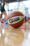 2025 WABL - Official Game Ball